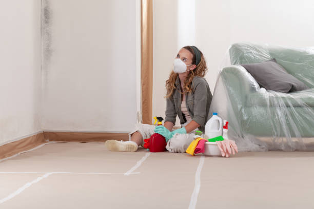 Reliable Mold Remediation contractor in Ludington, MI by Cheap Mold Removal